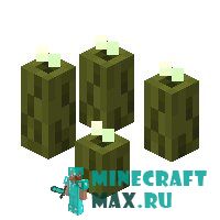 Морской огурец в Майнкрафте
