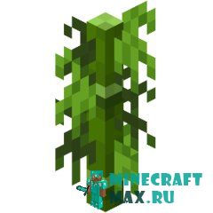 Бамбук в Майнкрафте