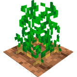 Как сделать картофель на грядке в Minecraft