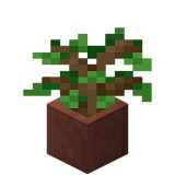 Как сделать саженец дуба в горшке в Minecraft