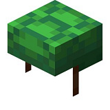 Как сделать черепаший панцирь в Minecraft