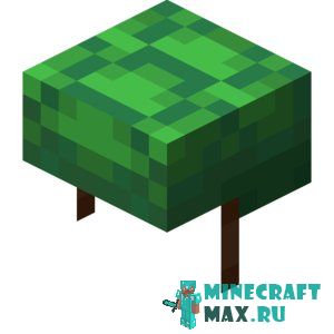 Черепаший панцирь в Майнкрафте