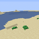 Как сделать пляж в Minecraft