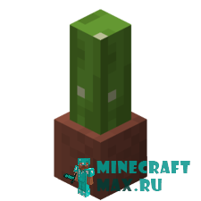 Кактус в горшке в Майнкрафте