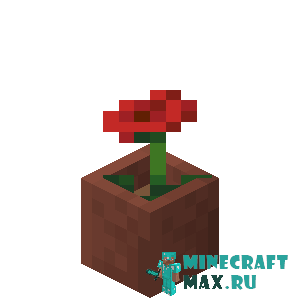 Мак в горшке в Майнкрафте