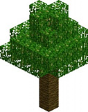 Как сделать тропическое дерево (дерево) в Minecraft