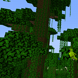 Как сделать джунгли в Minecraft