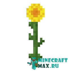 Подсолнух в Майнкрафте