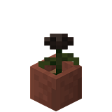 Как сделать розу визера в горшке в Minecraft