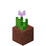 Как сделать розовый тюльпан в горшке в Minecraft