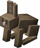 Как сделать кролика в Minecraft