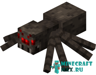Паук в Майнкрафте