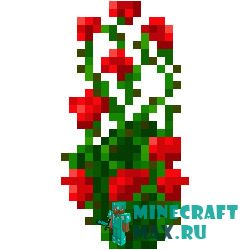 Розовый куст в Майнкрафте