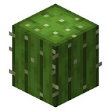 Как сделать кактус в Minecraft