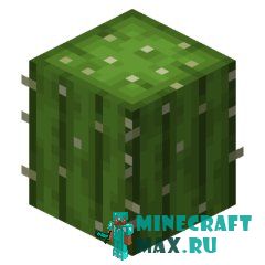 Кактус в Майнкрафте