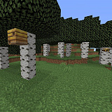 Как сделать берёзовый лес в Minecraft
